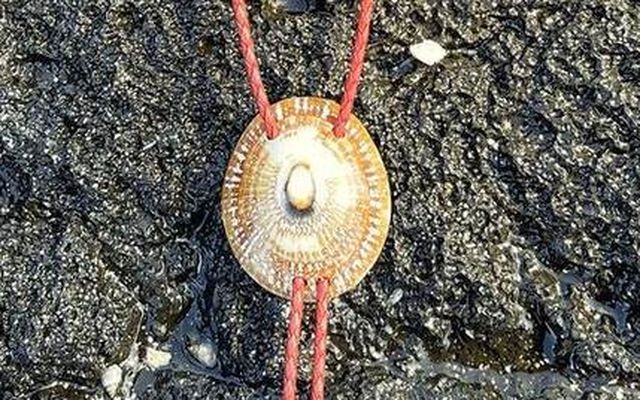 Commission a Bolo That's Part of You — Holo Holo Bolo journal