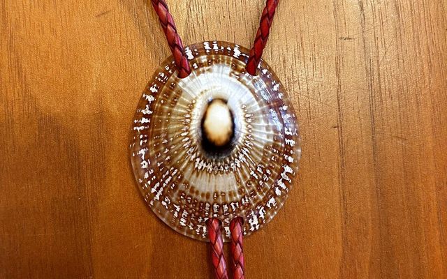 One-of-a-Kind Hawaiian Gifts for Him & Her — Holo Holo Bolo journal