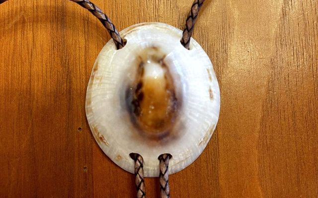 Bolo Ties for the Office — Holo Holo Bolo journal