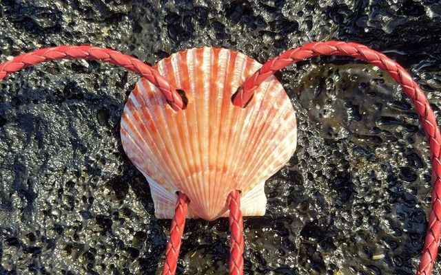 Heirloom Jewelry: Why a Shell Bolo Is Made to Be Passed Down — Holo Holo Bolo journal