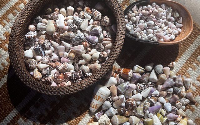 How Much Does a Handmade Bolo Tie Cost? — Holo Holo Bolo journal