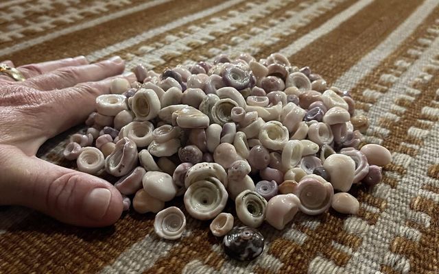 Beachcombing the Big Island — Holo Holo Bolo journal