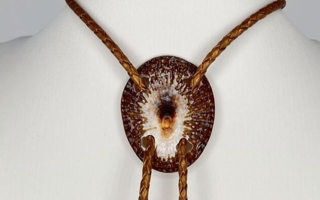 Sustainable Shell Jewelry — Holo Holo Bolo journal