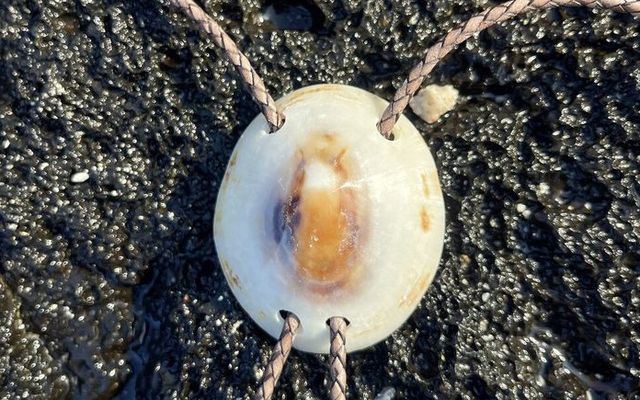Bolo Ties for Men: A Modern Guide — Holo Holo Bolo journal