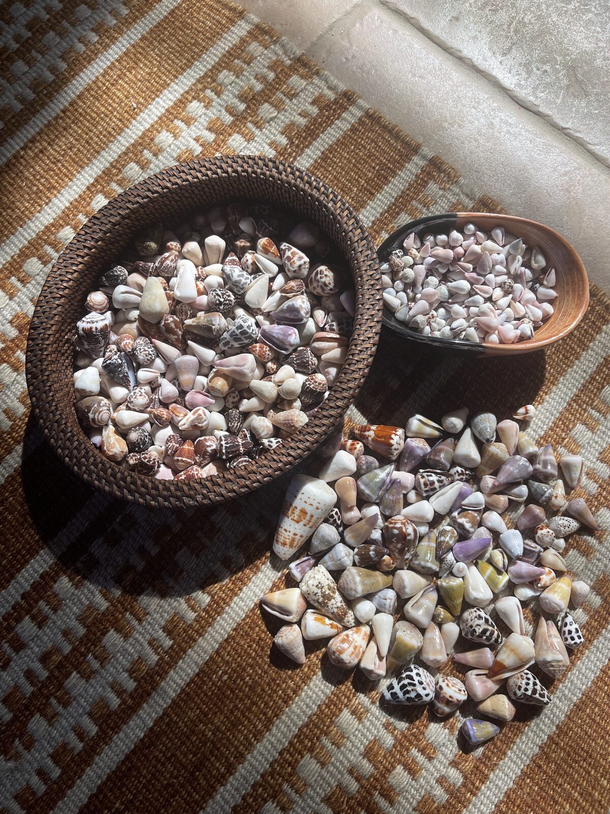 Baskets of hand-gathered shells being sorted in the Kona studio