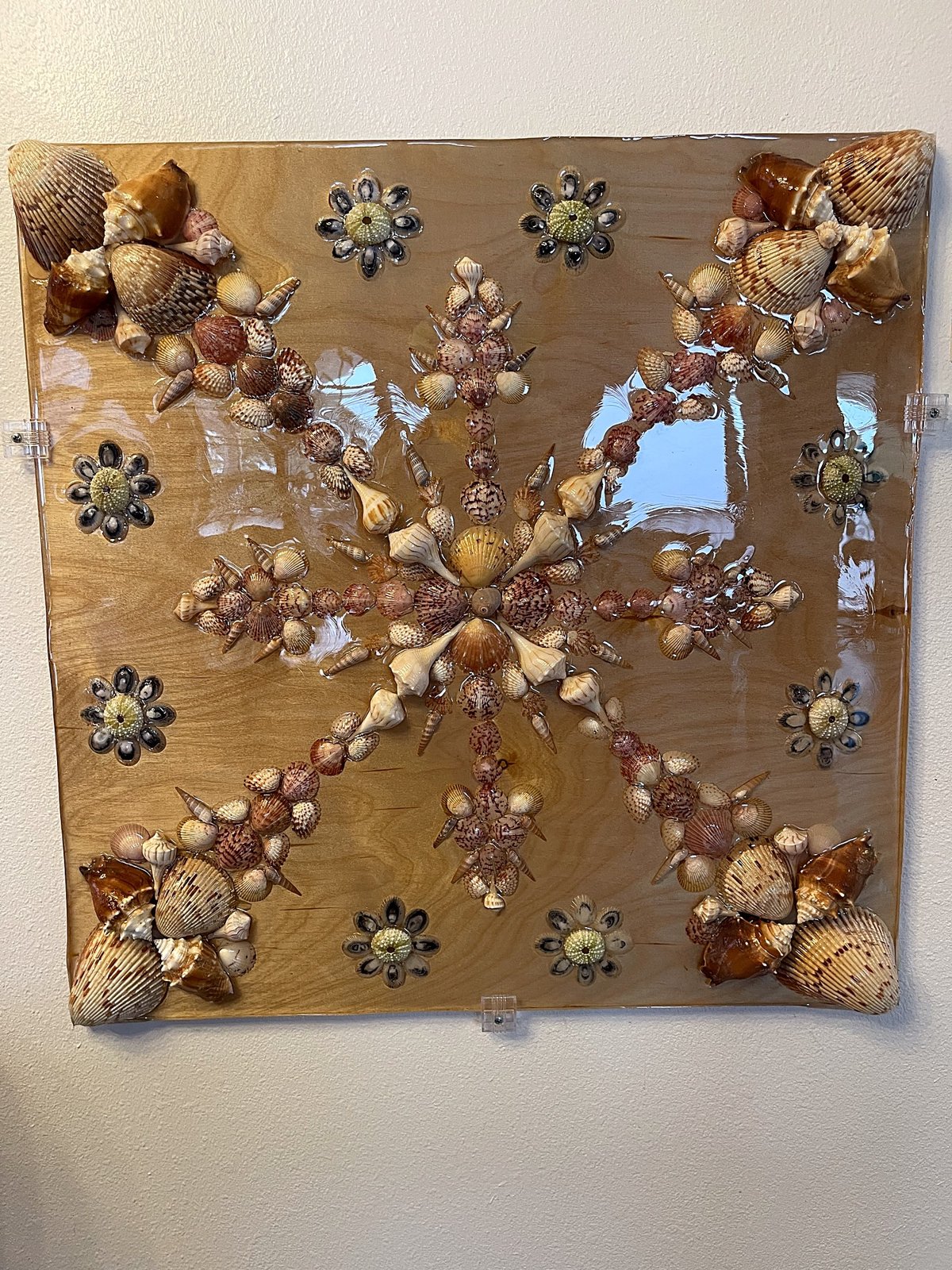 Compass Star — handmade Hawaiian shell mosaic wall art by Aaron Pomerantz, cowrie shells on panel