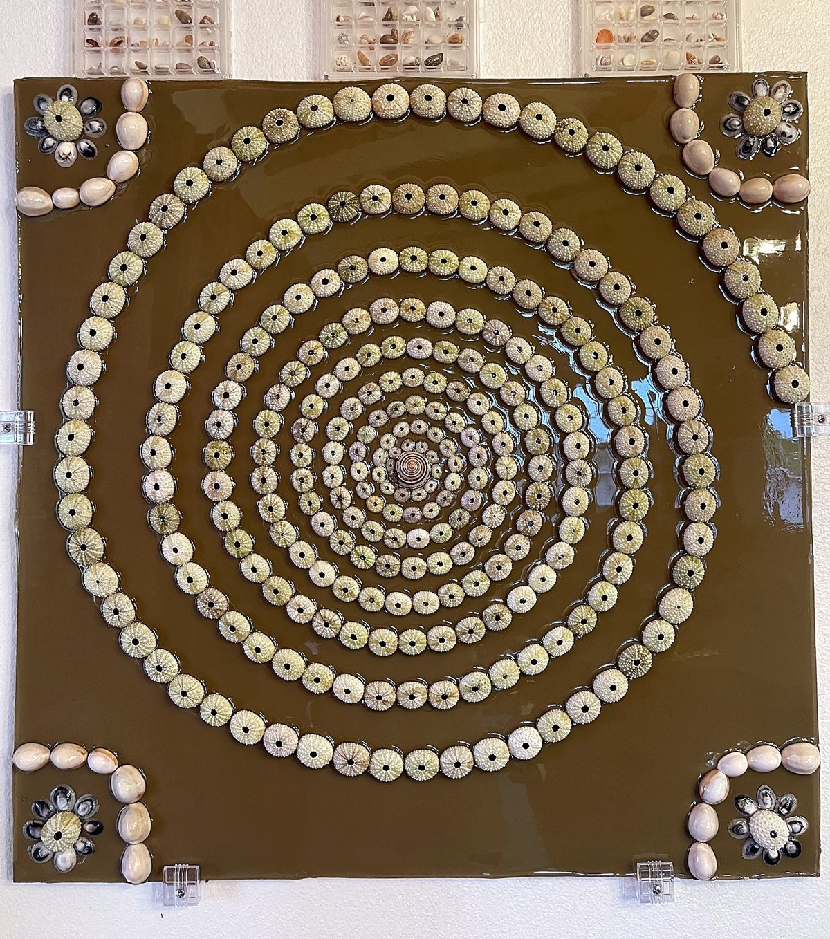 Spiral Rings — handmade Hawaiian shell mosaic wall art by Aaron Pomerantz, cowrie shells on panel