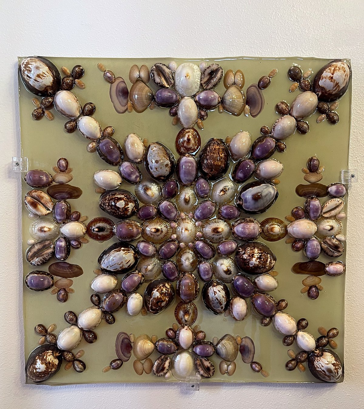 Cowrie Bloom — handmade Hawaiian shell mosaic wall art by Aaron Pomerantz, cowrie shells on panel