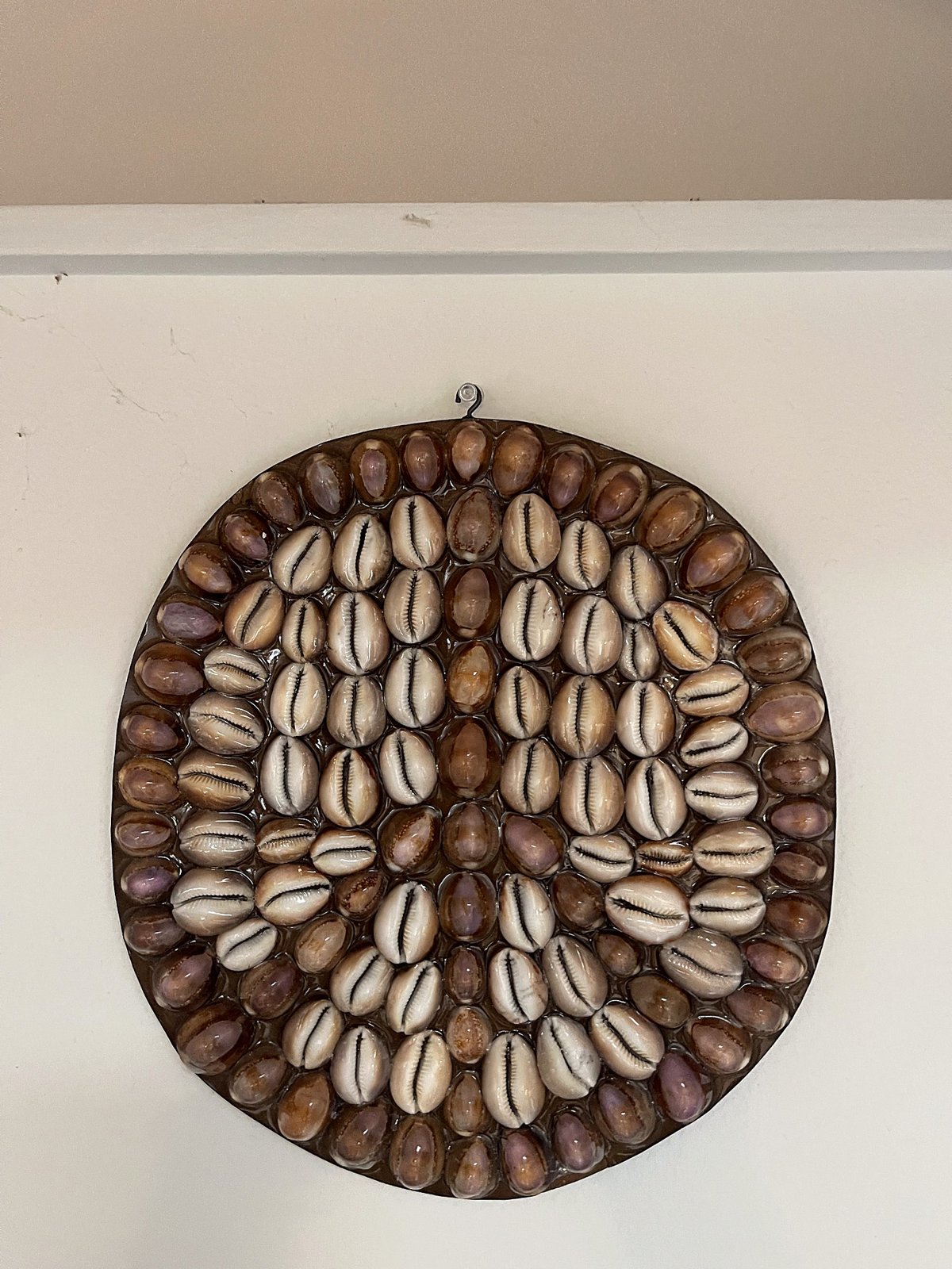 Cowrie Disc — handmade Hawaiian shell mosaic wall art by Aaron Pomerantz, cowrie shells on panel