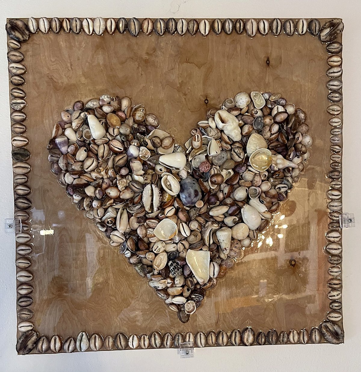 Shell Heart — handmade Hawaiian shell mosaic wall art by Aaron Pomerantz, cowrie shells on panel