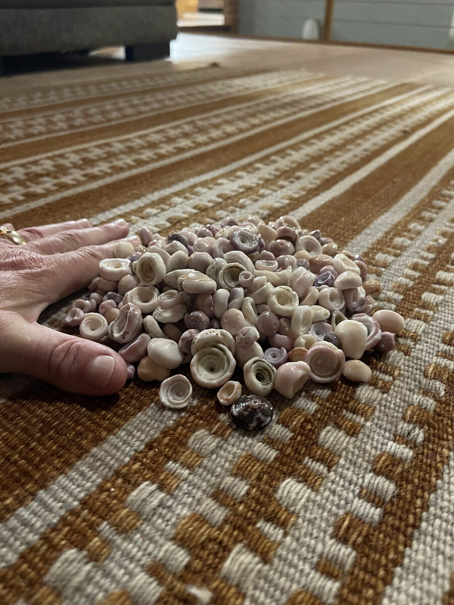 A hand beside a pile of small ʻopihi and seashells gathered by hand on a Big Island shore