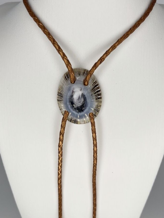 Lucky Eye — one-of-a-kind — handmade shell bolo tie