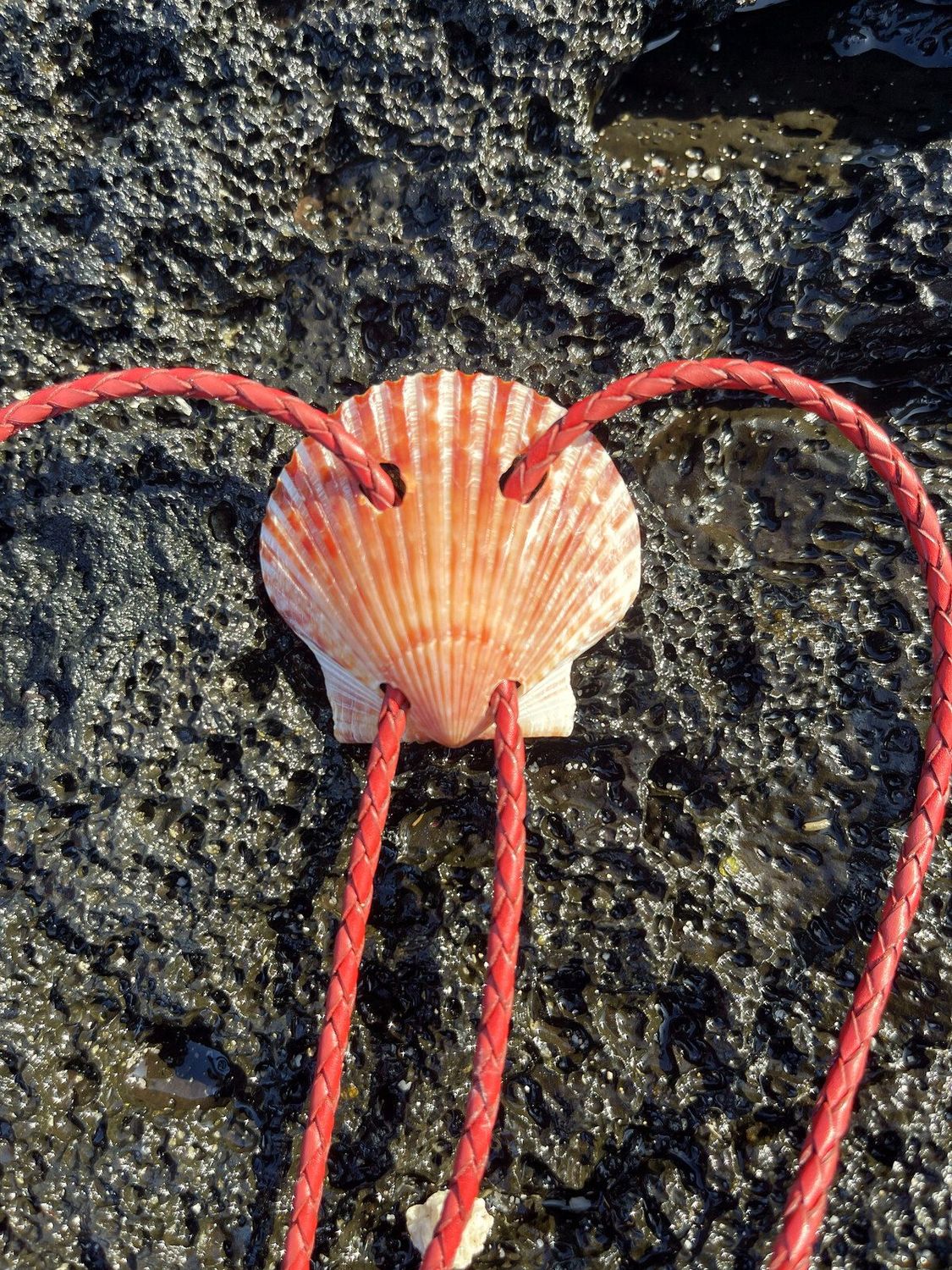 Commission example — hand-finished shell bolo