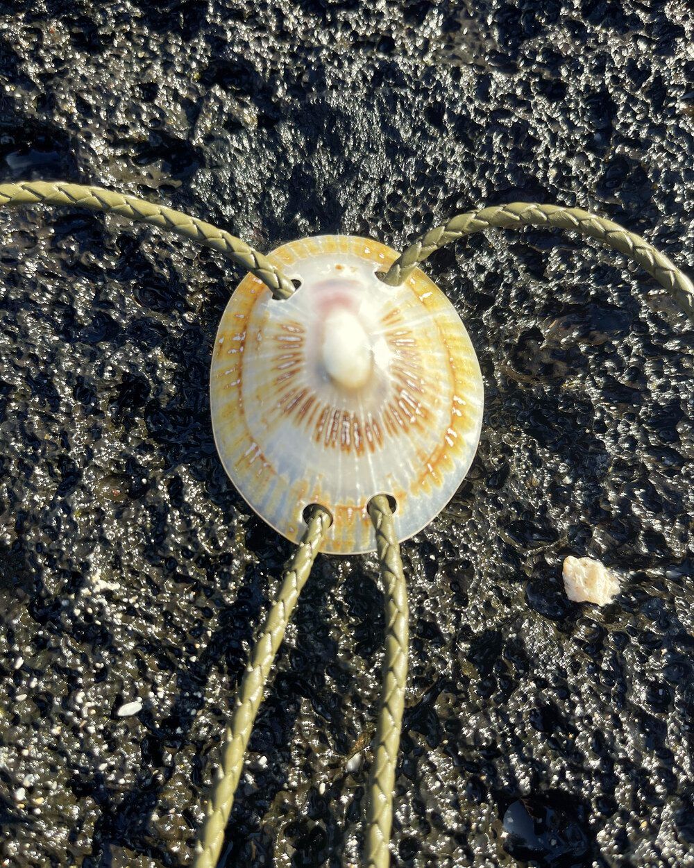 Commission example — hand-finished shell bolo
