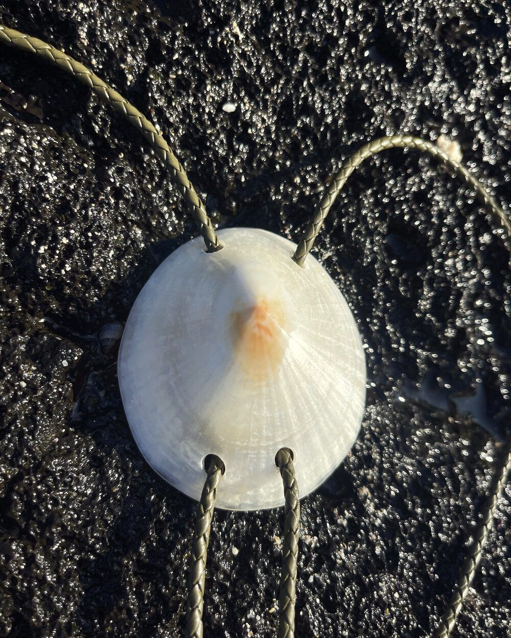 Commission example — hand-finished shell bolo