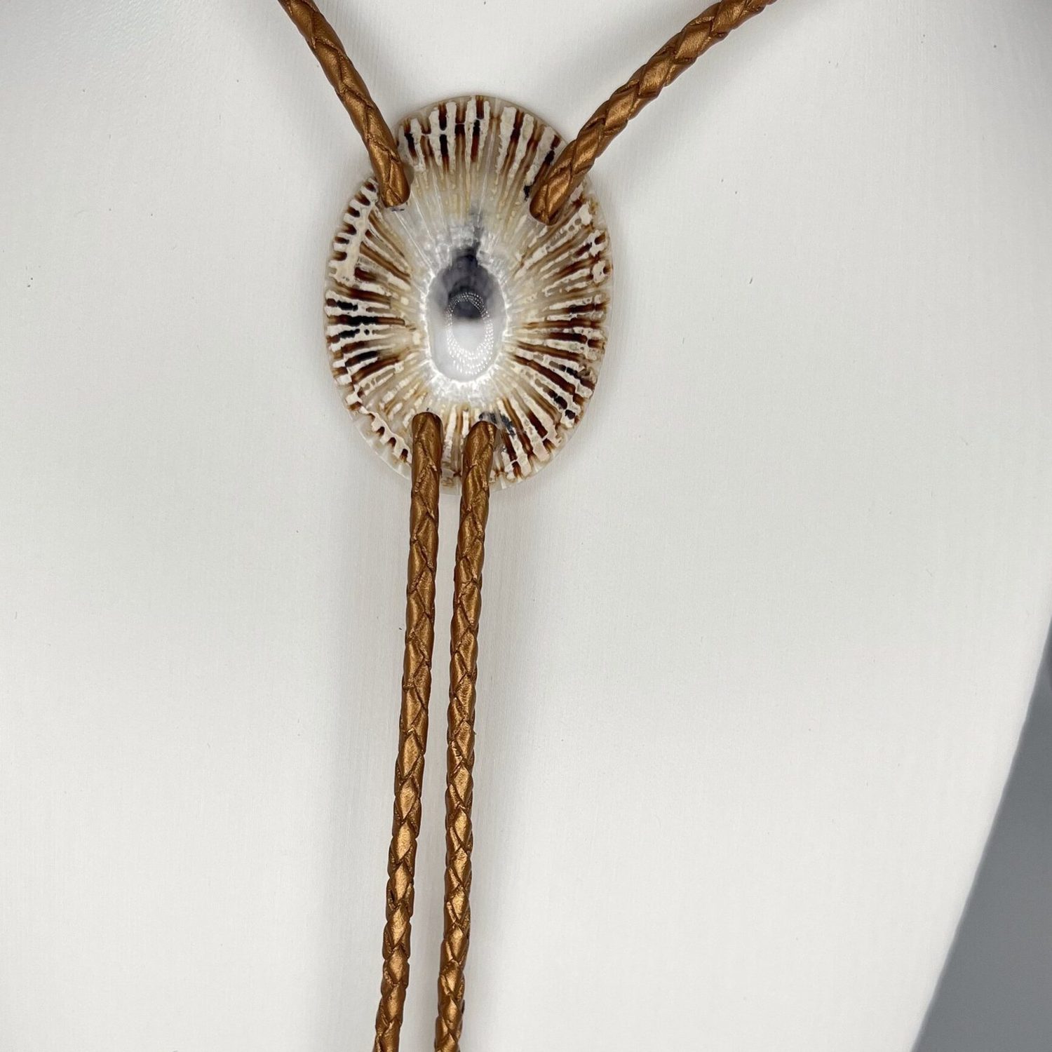 Evening Rays — Hawaiian shell bolo tie, view 2