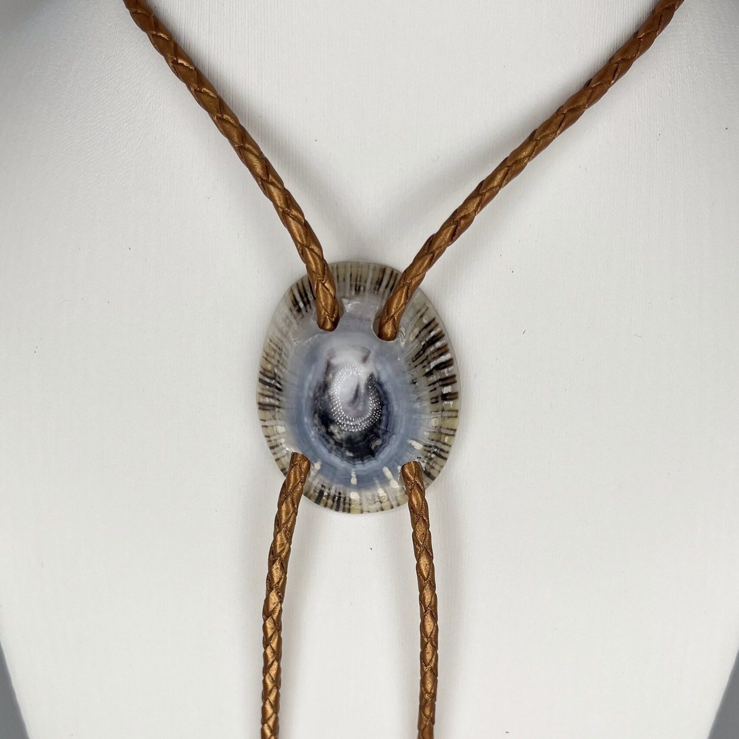Lucky Eye — Hawaiian shell bolo tie, view 3