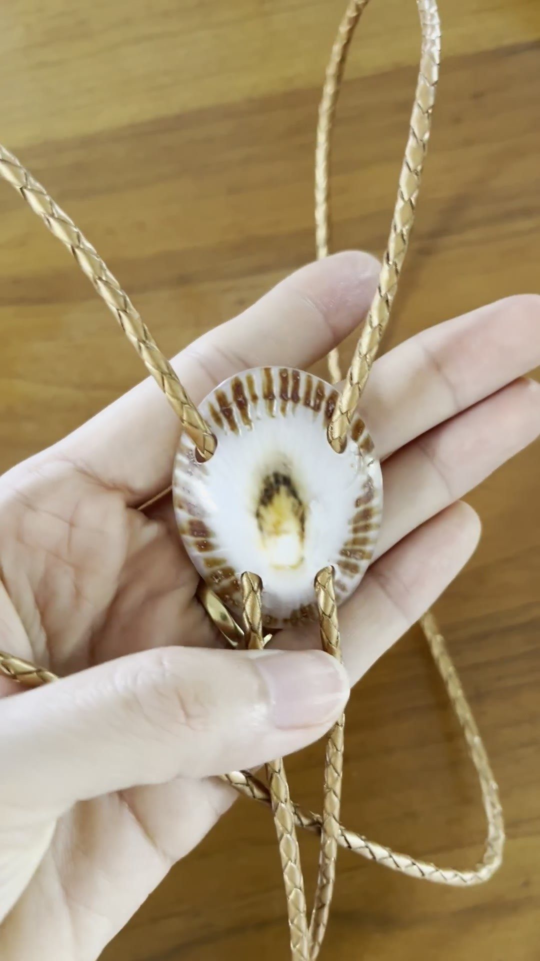 Morning Rays — Hawaiian shell bolo tie, view 4