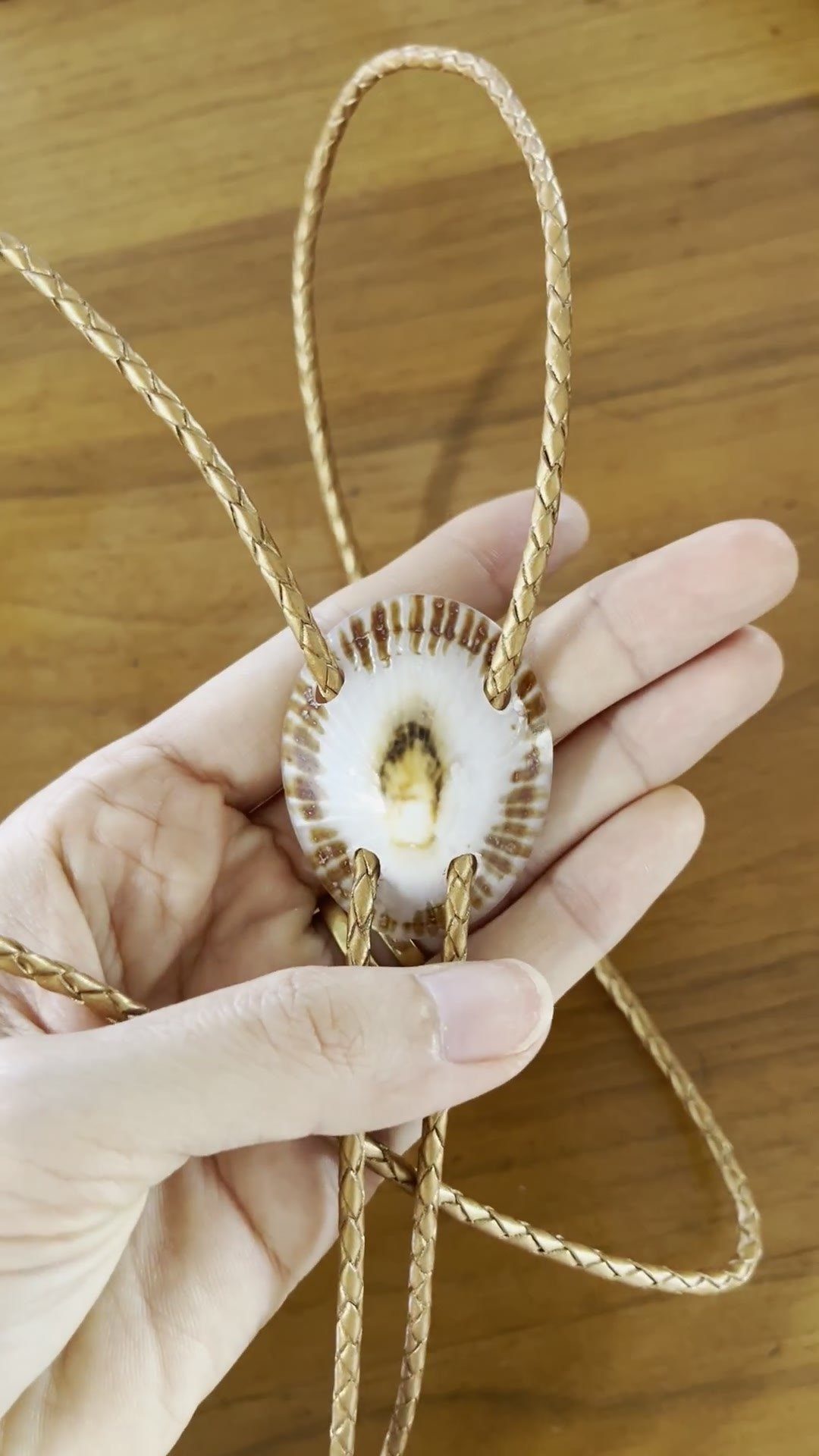 Morning Rays — Hawaiian shell bolo tie, view 5