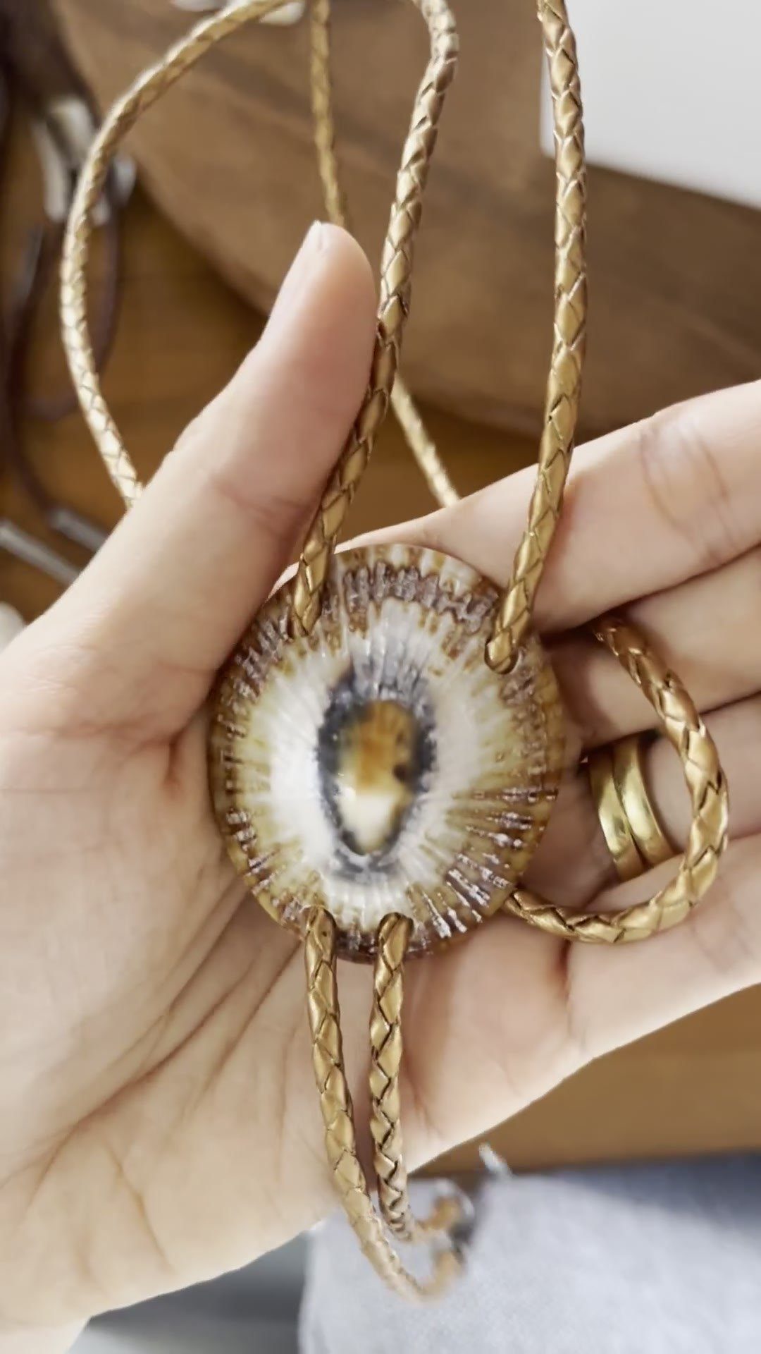 Solar Ring — Hawaiian shell bolo tie, view 5