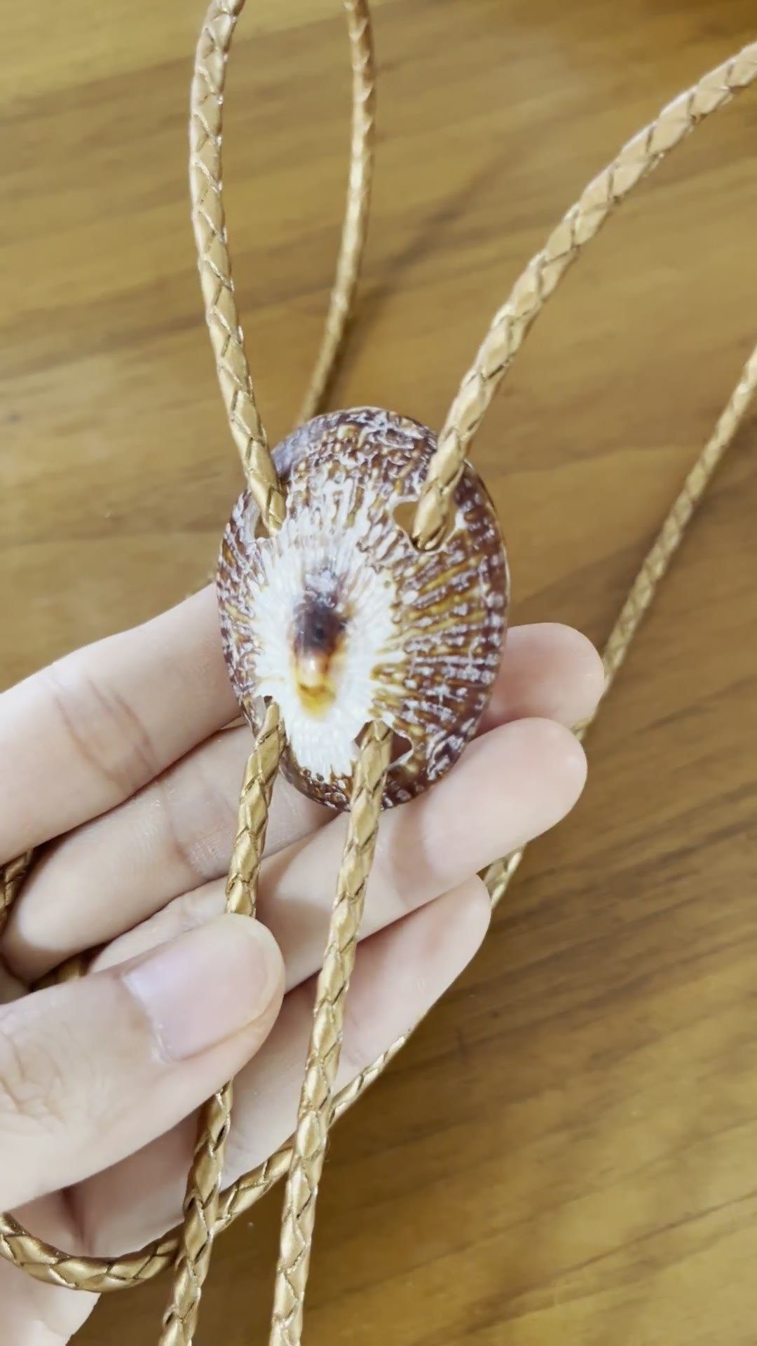 Sunburst Ember — Hawaiian shell bolo tie, view 4