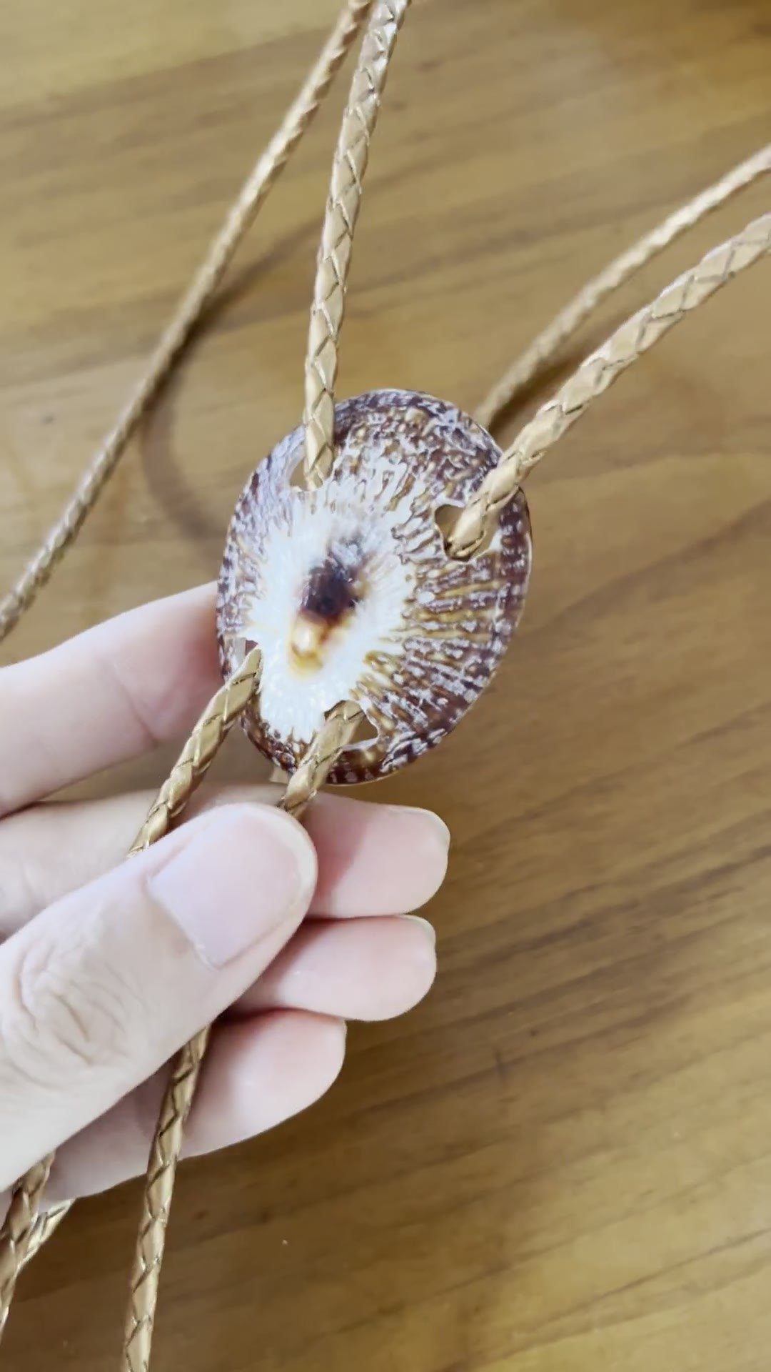 Sunburst Ember — Hawaiian shell bolo tie, view 5