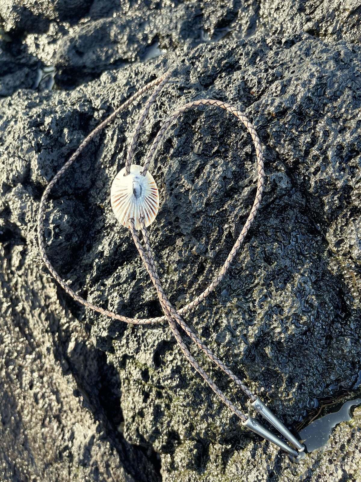 ‘Curious Eye’ ʻOpihi — Hawaiian shell bolo tie, view 4