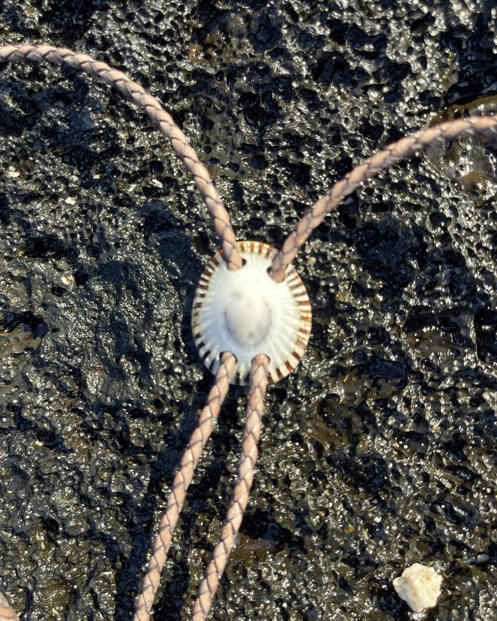 Clasp-less metal-free ʻopihi shell bolo tie with cord laced through wet-drilled holes