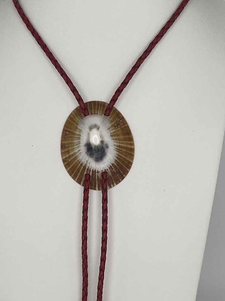 ‘Focus Flows’ ʻOpihi — one-of-a-kind — handmade shell bolo tie