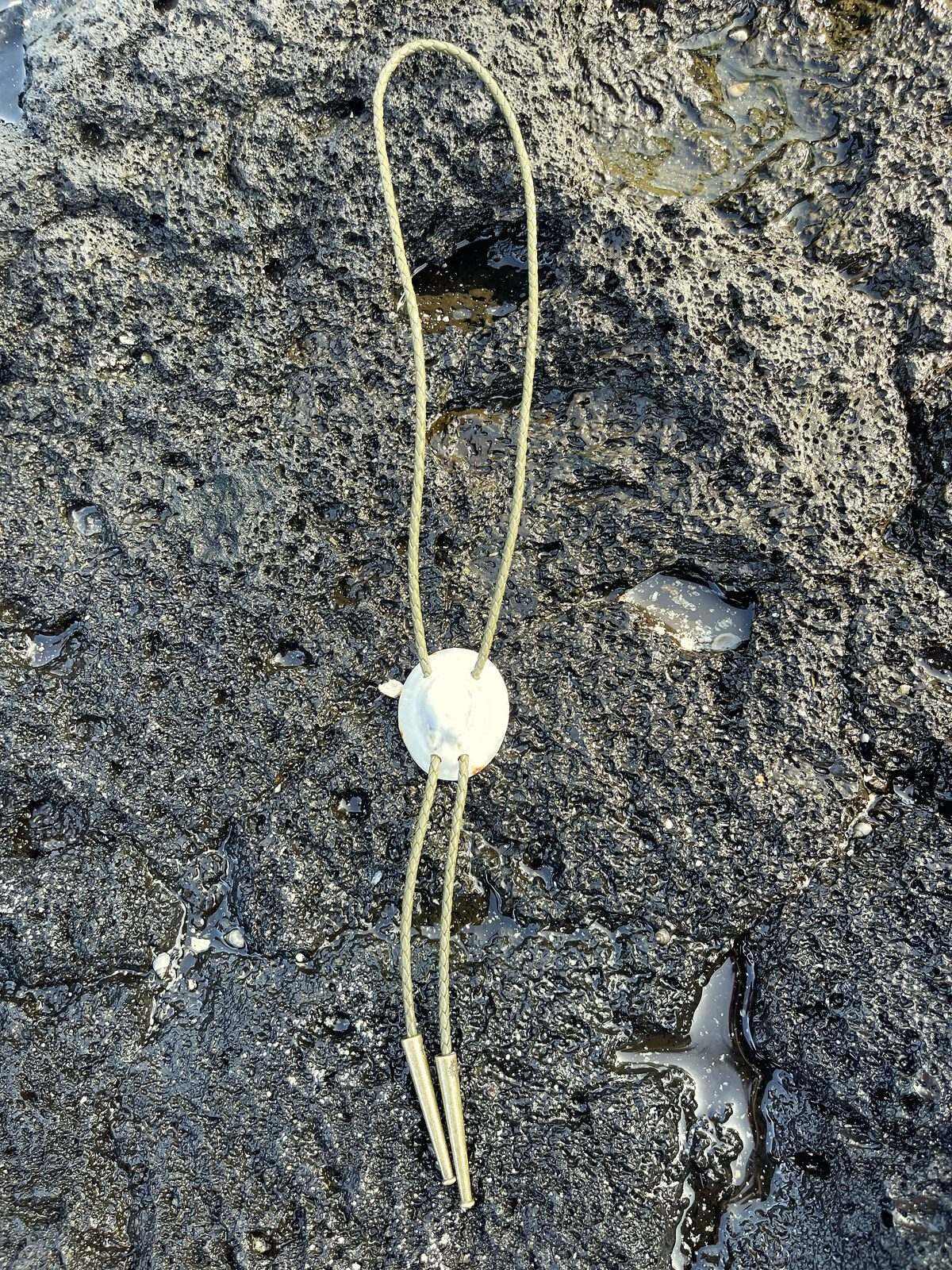 Horseshoe ‘Opalized Look’ ʻOpihi — Hawaiian shell bolo tie, view 3