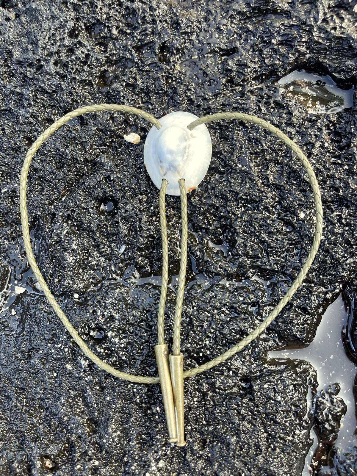 Horseshoe ‘Opalized Look’ ʻOpihi — Hawaiian shell bolo tie, view 4