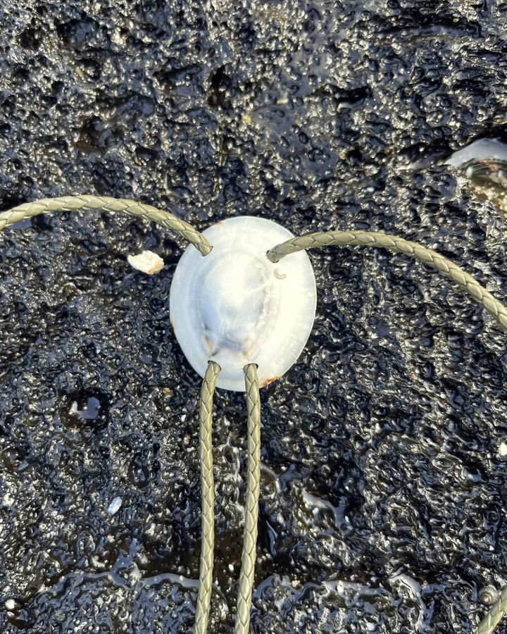 A hand-polished ʻopihi shell bolo tie with an opalized glow, the kind of one-of-a-kind piece meant to be kept and passed down