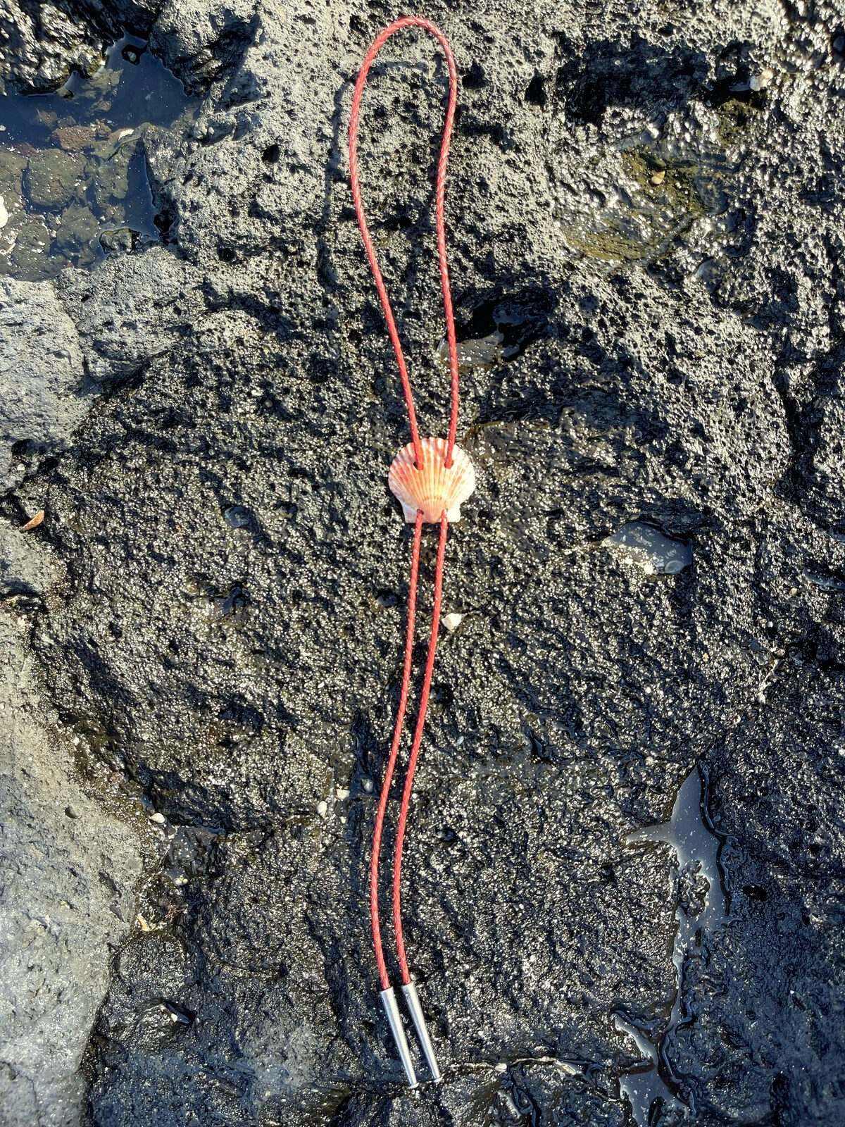‘Love Look’ Scallop — shell bolo tie, view 3