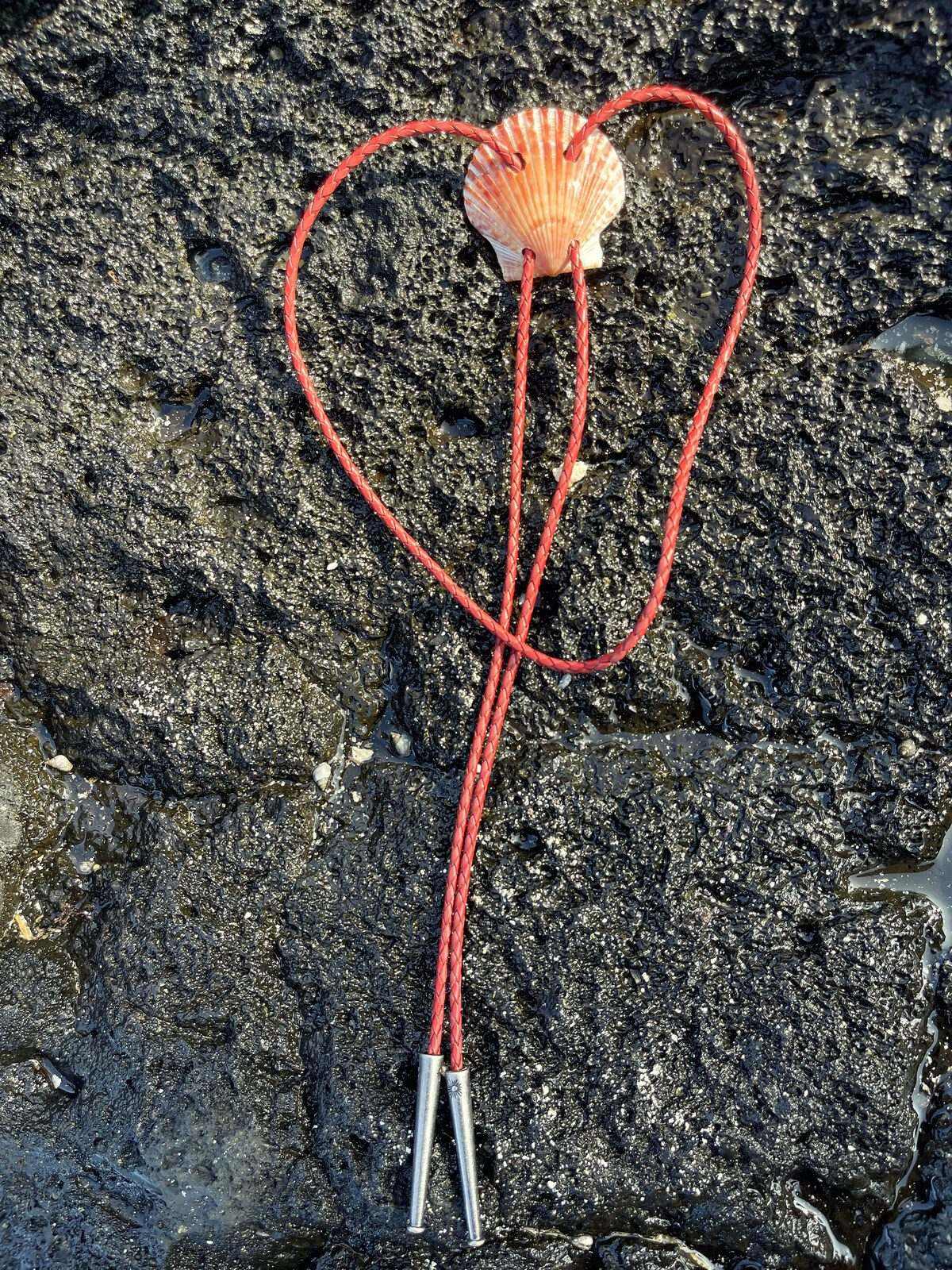 ‘Love Look’ Scallop — shell bolo tie, view 4