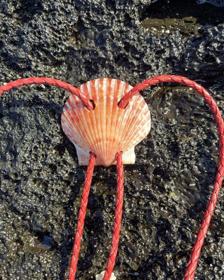Coral-pink scallop shell bolo tie for women on red braided cord