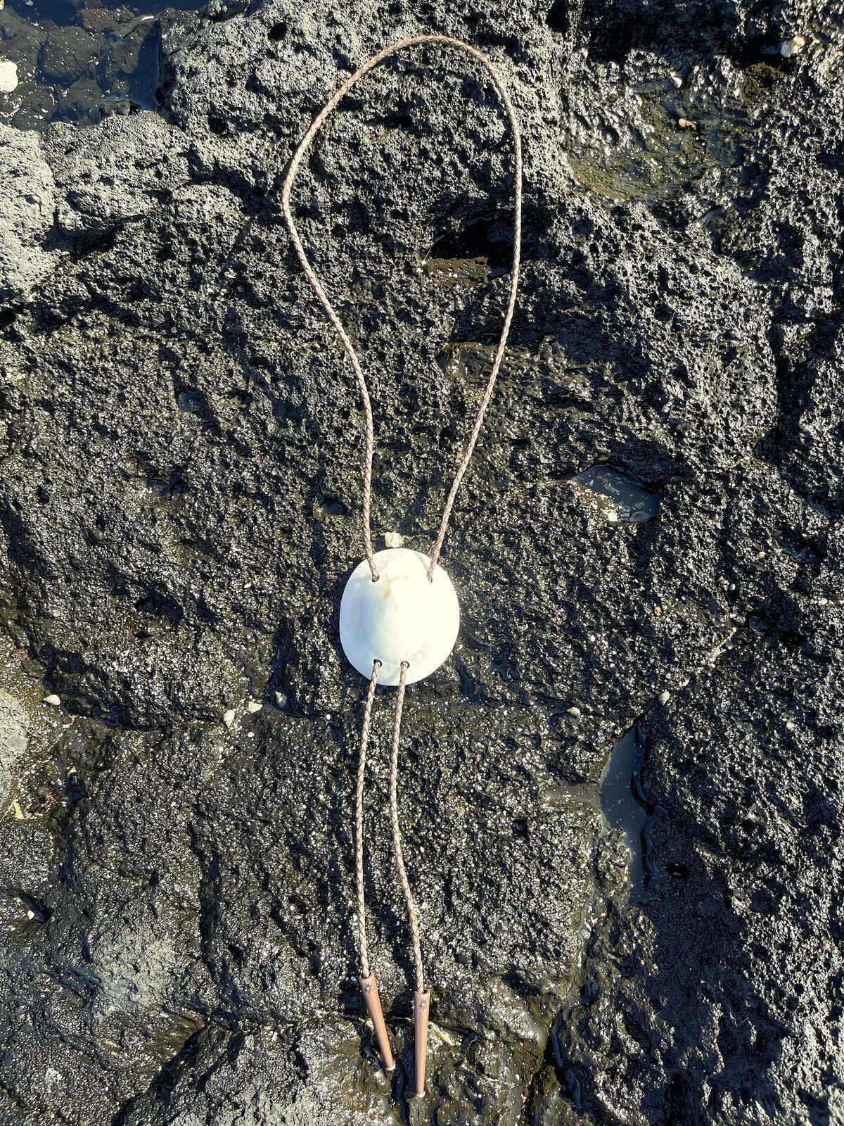 ‘Mother Moon’ ʻOpihi — Hawaiian shell bolo tie, view 3