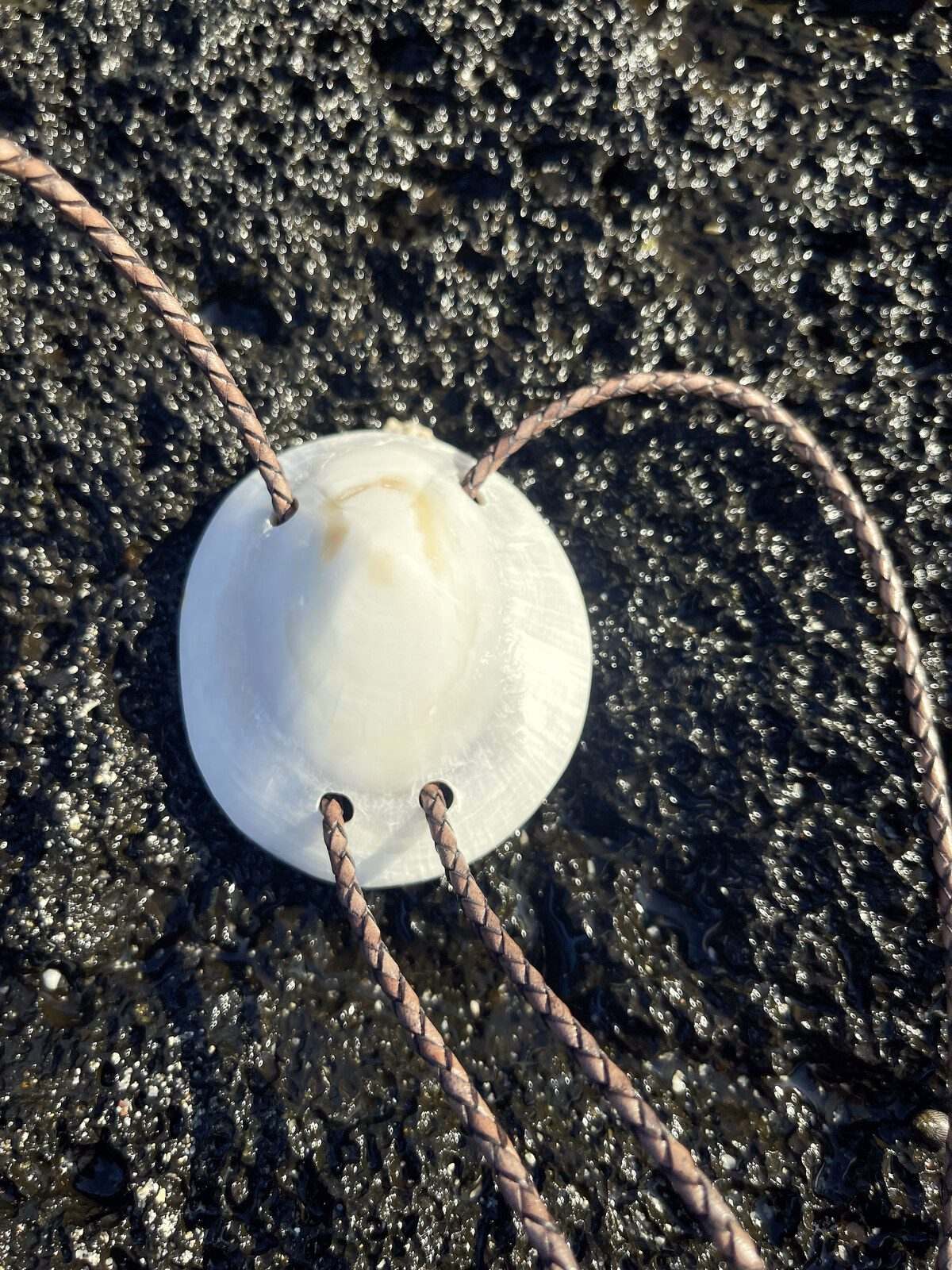 ‘Mother Moon’ ʻOpihi — Hawaiian shell bolo tie, view 5
