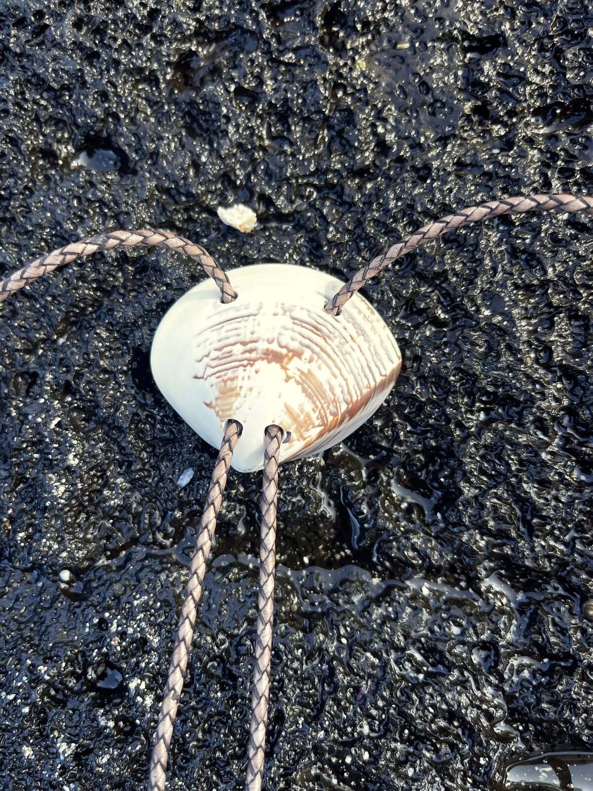 Mountain Pattern Clam — shell bolo tie, view 5