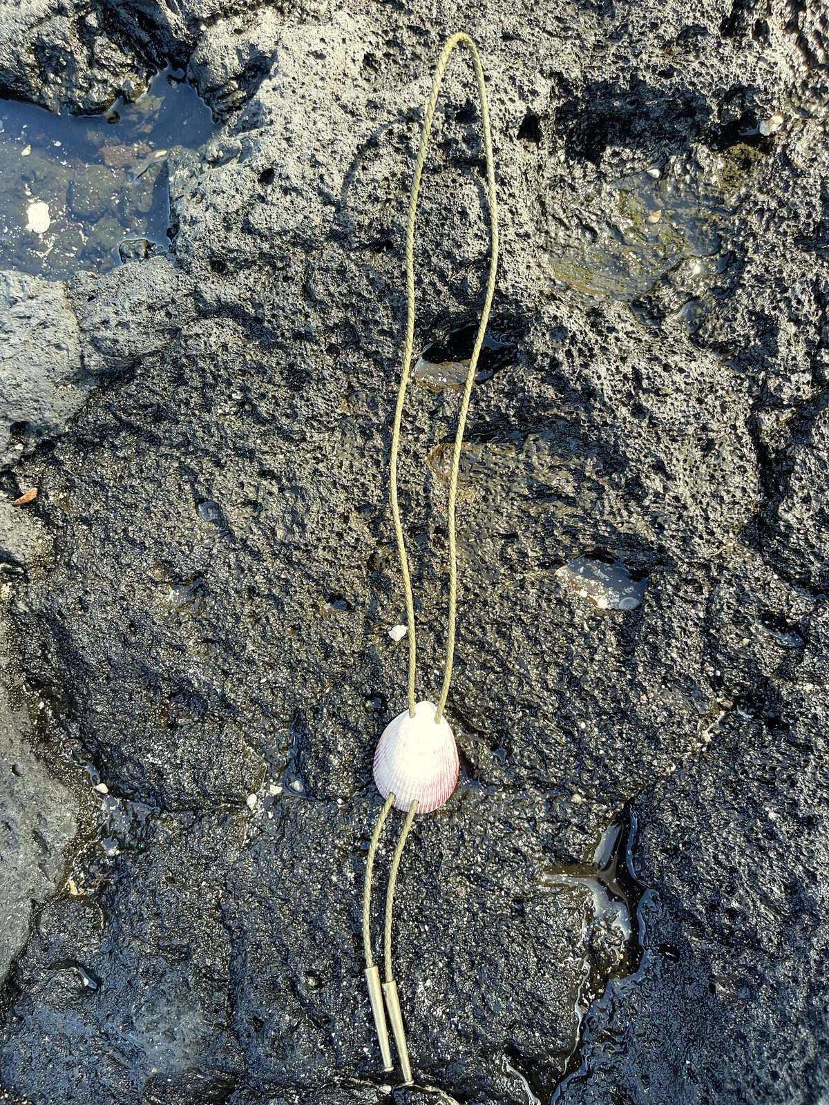 Purple & Lavender Cockle — Hawaiian shell bolo tie, view 3