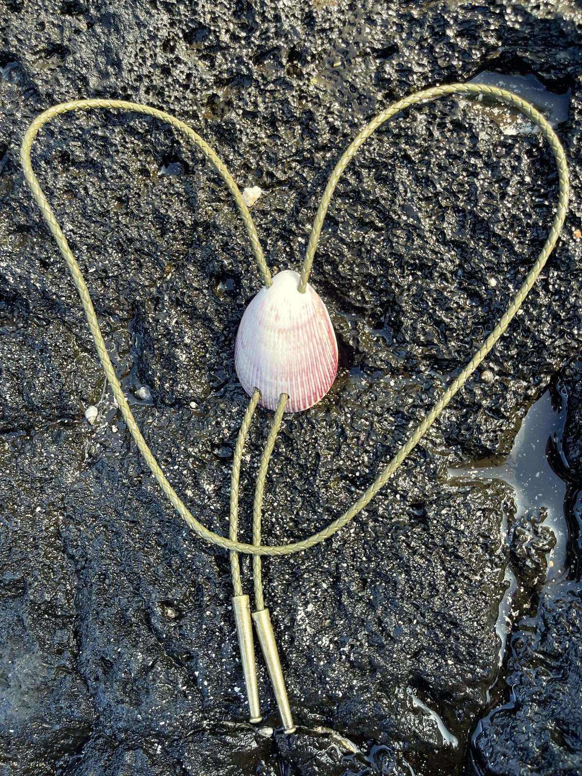 Purple & Lavender Cockle — Hawaiian shell bolo tie, view 4
