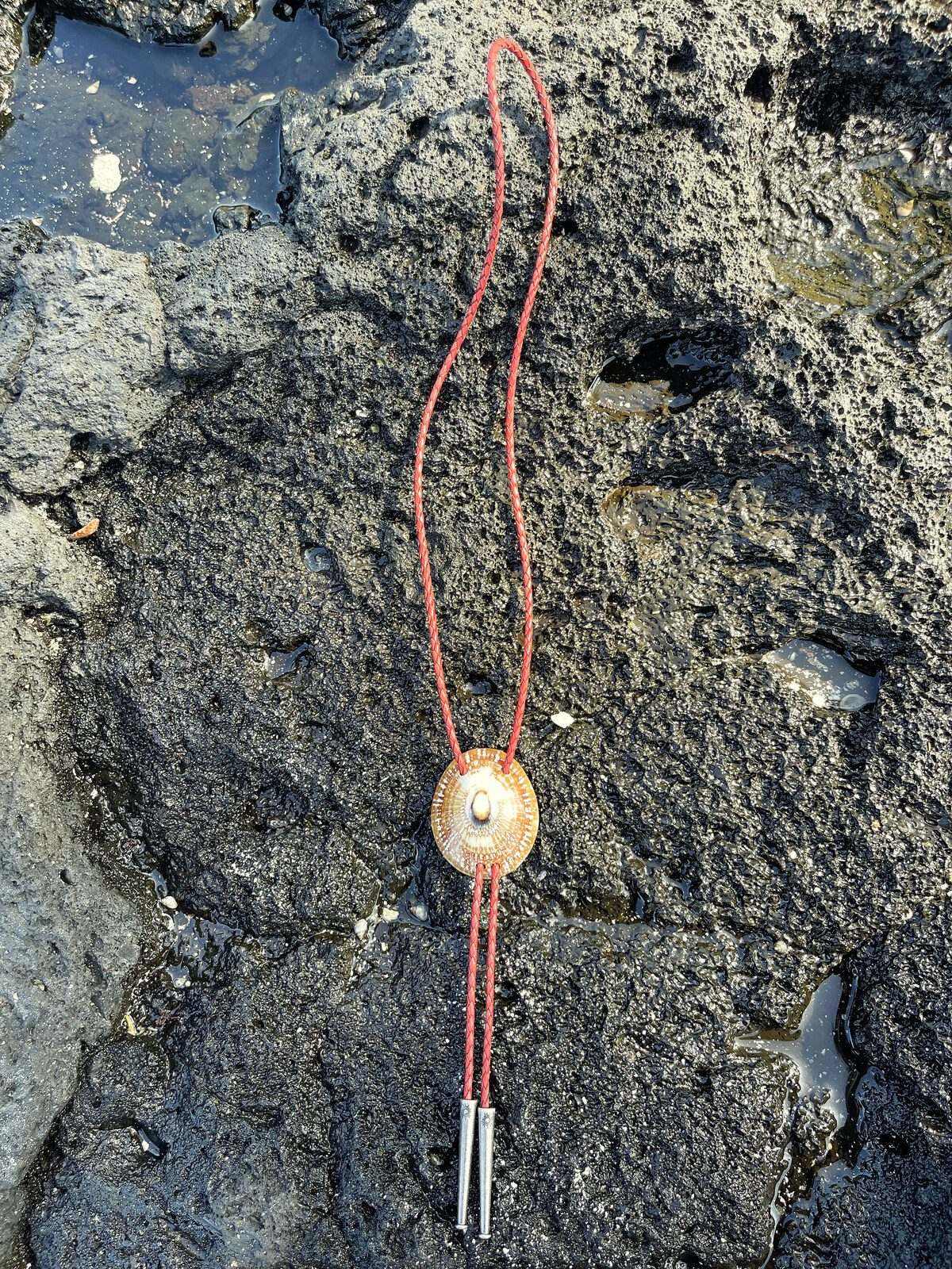 ‘Starseed Look’ ʻOpihi — Hawaiian shell bolo tie, view 3