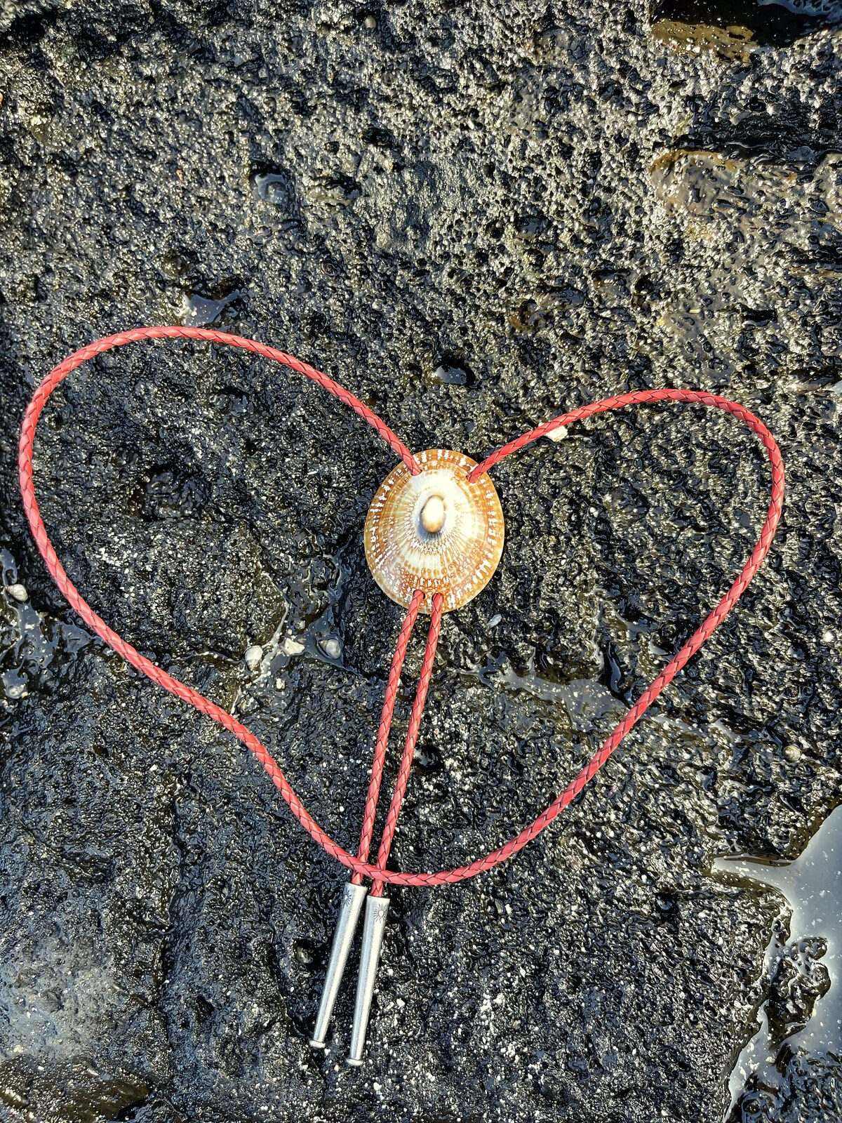 ‘Starseed Look’ ʻOpihi — Hawaiian shell bolo tie, view 4