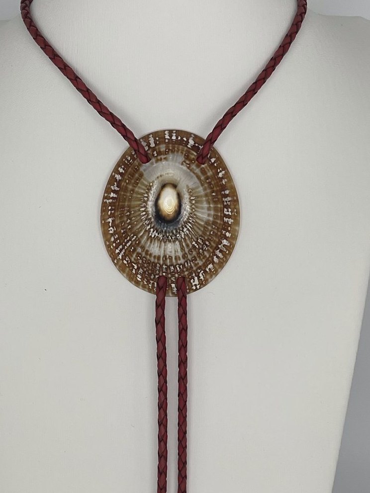 ‘Starseed Look’ ʻOpihi — one-of-a-kind — handmade shell bolo tie