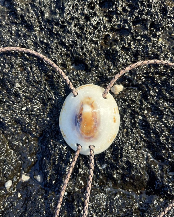 Polished Tiger Eye ʻopihi limpet shell bolo on the Hawaiian lava rock it came from