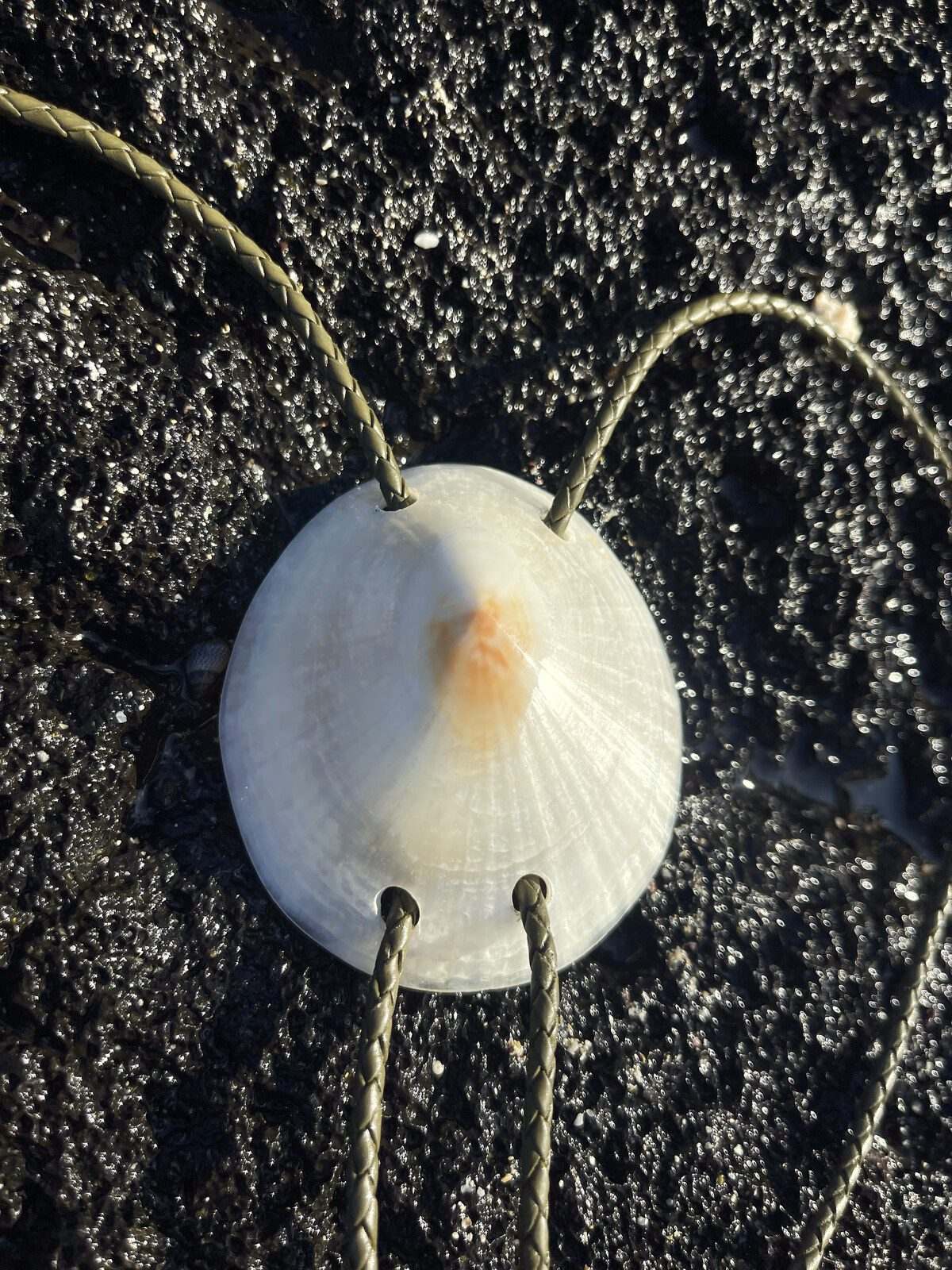 ‘UFO Look’ ʻOpihi — Hawaiian shell bolo tie, view 5
