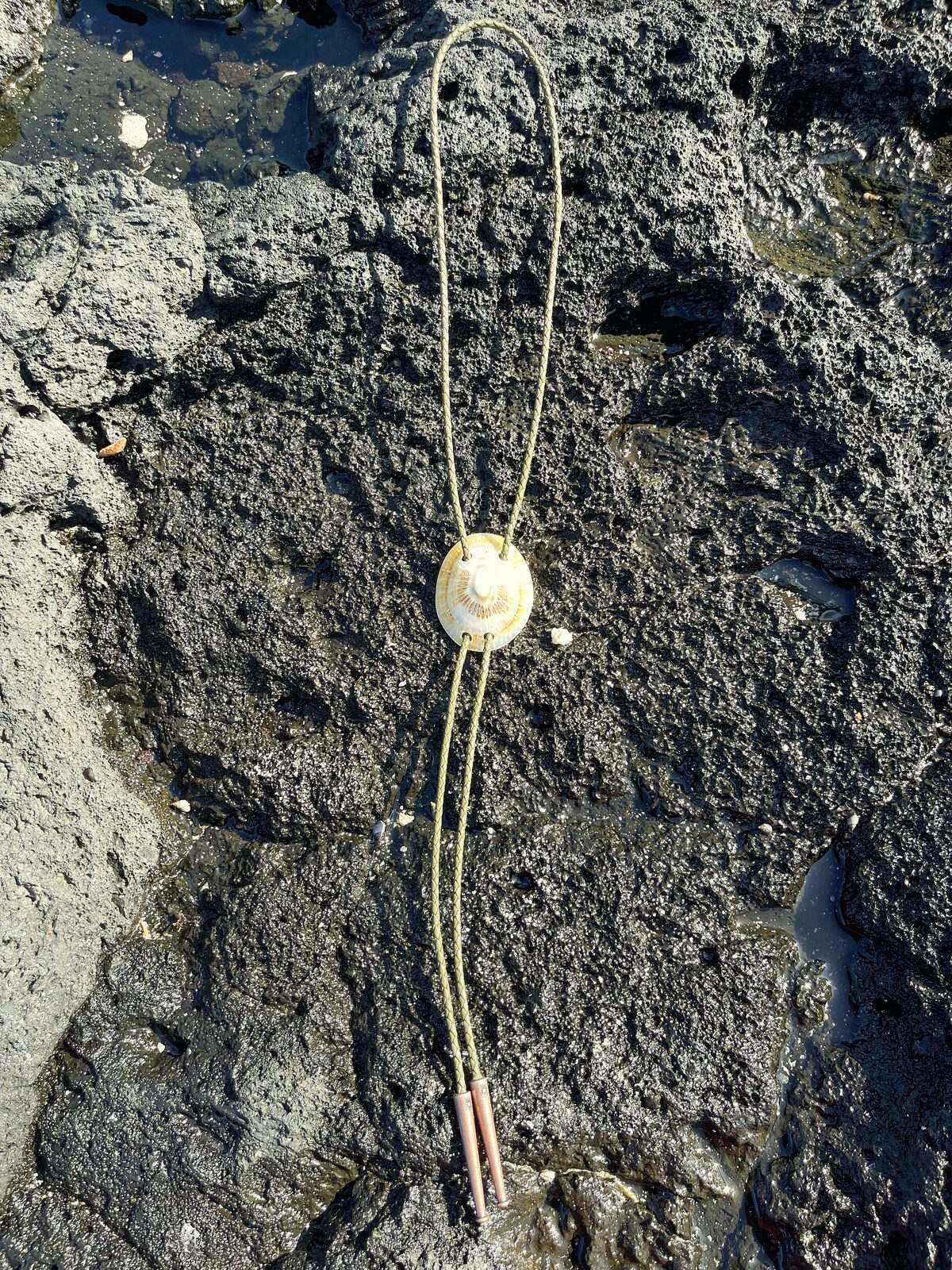 ‘Wet Look’ ʻOpihi — Hawaiian shell bolo tie, view 3