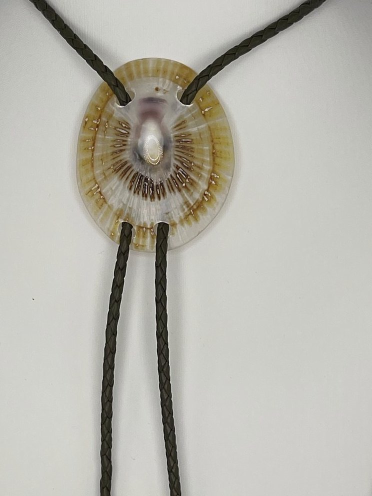 ‘Wet Look’ ʻOpihi — one-of-a-kind — handmade shell bolo tie